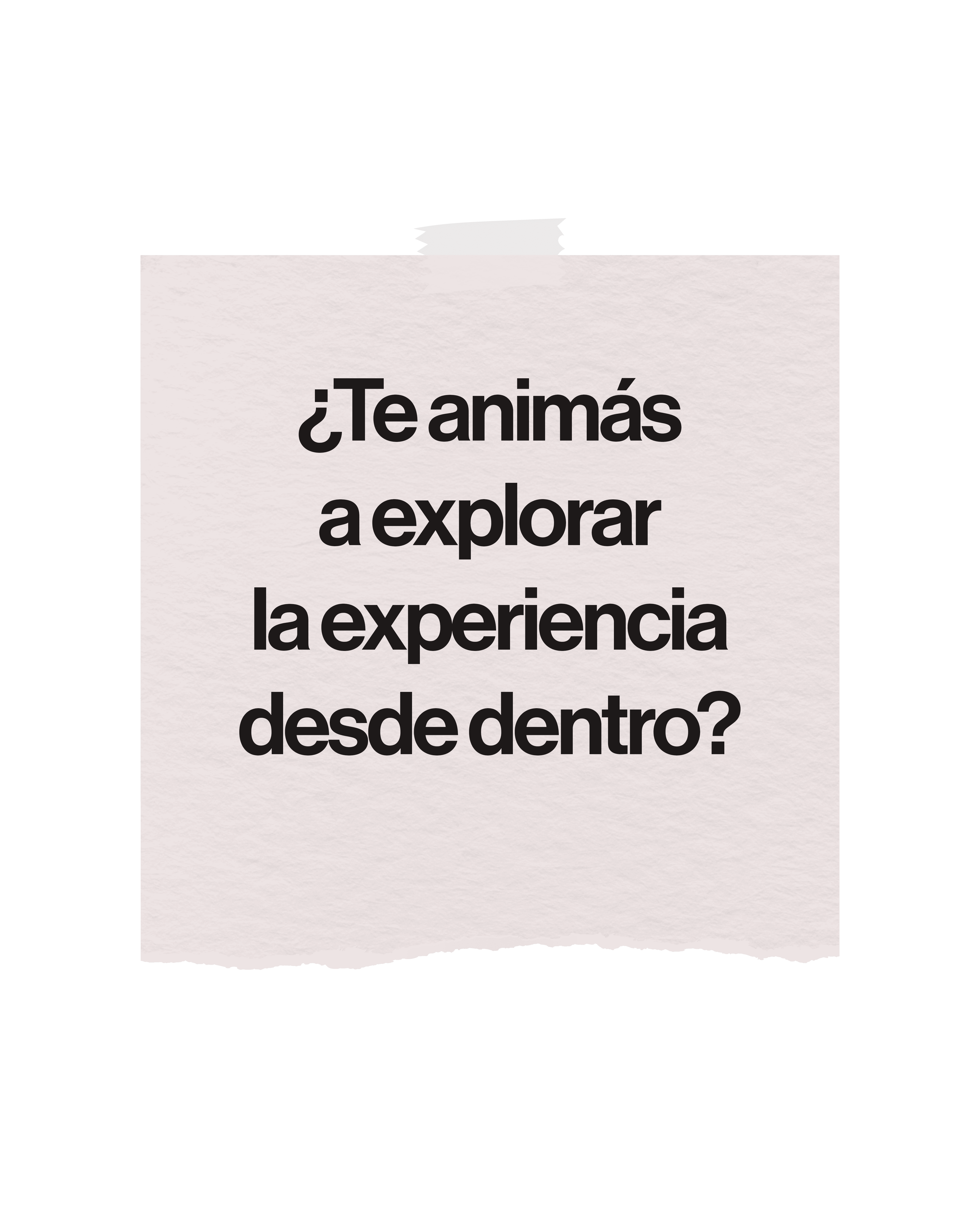 Experiencia